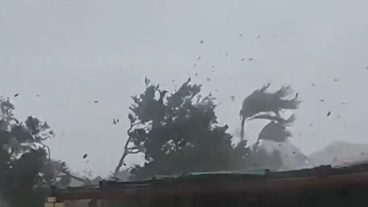 40度高温撞上110km/h狂风！澳洲多地天气大乱，悉尼布里斯班开启夏日模式（组图） - 2