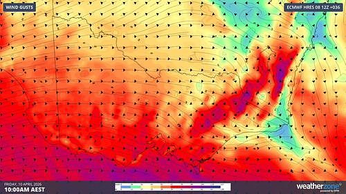 40度高温撞上110km/h狂风！澳洲多地天气大乱，悉尼布里斯班开启夏日模式（组图） - 1