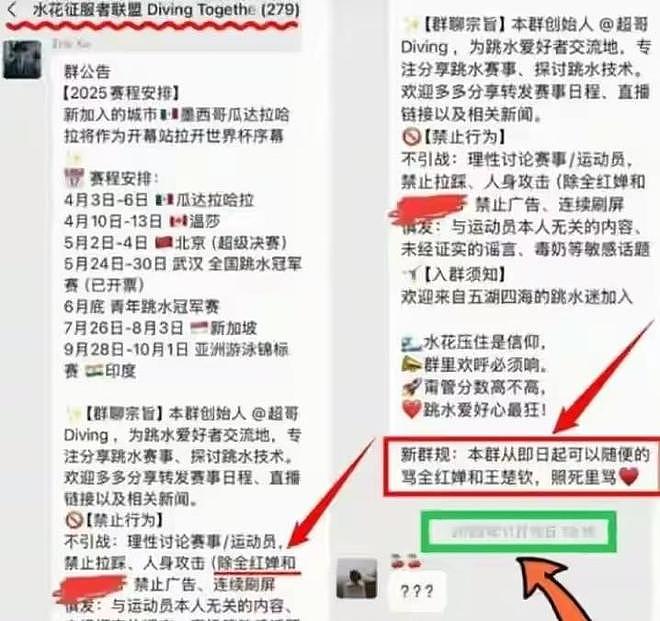 官方出手了！282人微信群骂全红禅三年，群成员被扒，身份不简单 - 5