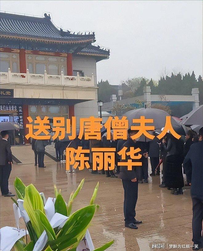 陈丽华葬礼曝光！多位“大人物”到场，炸出一堆“牛鬼蛇神” - 4