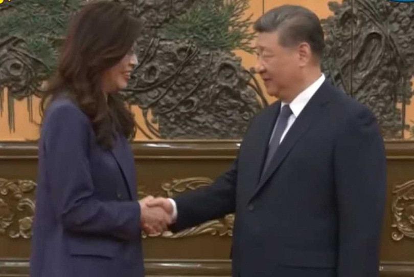 郑丽文见习近平“盼共推两岸和平制度化”，谈话内容曝 - 2