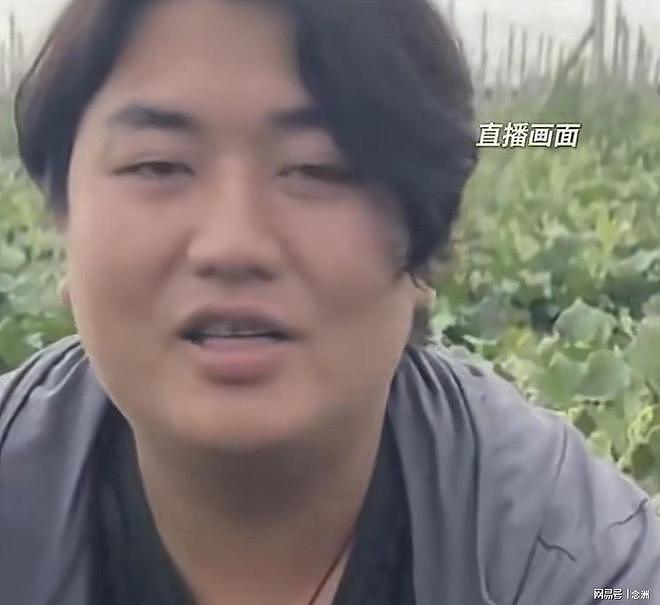 全红婵又遭网暴！哥哥怒怼网友：我们全家都胖？吃你们家大米了？ - 2