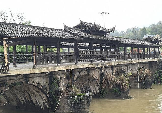 贾平凹女儿贾浅浅论文涉嫌抄袭，西北大学发布情况通报（组图） - 10