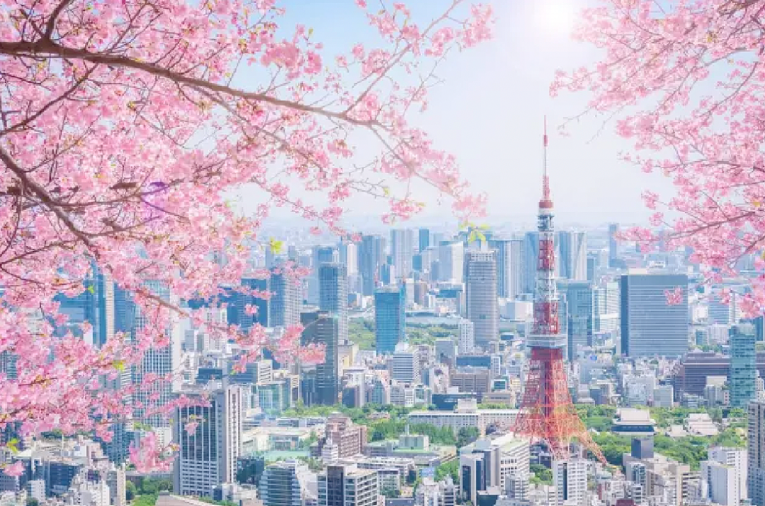 日本富豪有9个妻子12个娃？每天安排时间在各房之间奔走？（组图） - 2