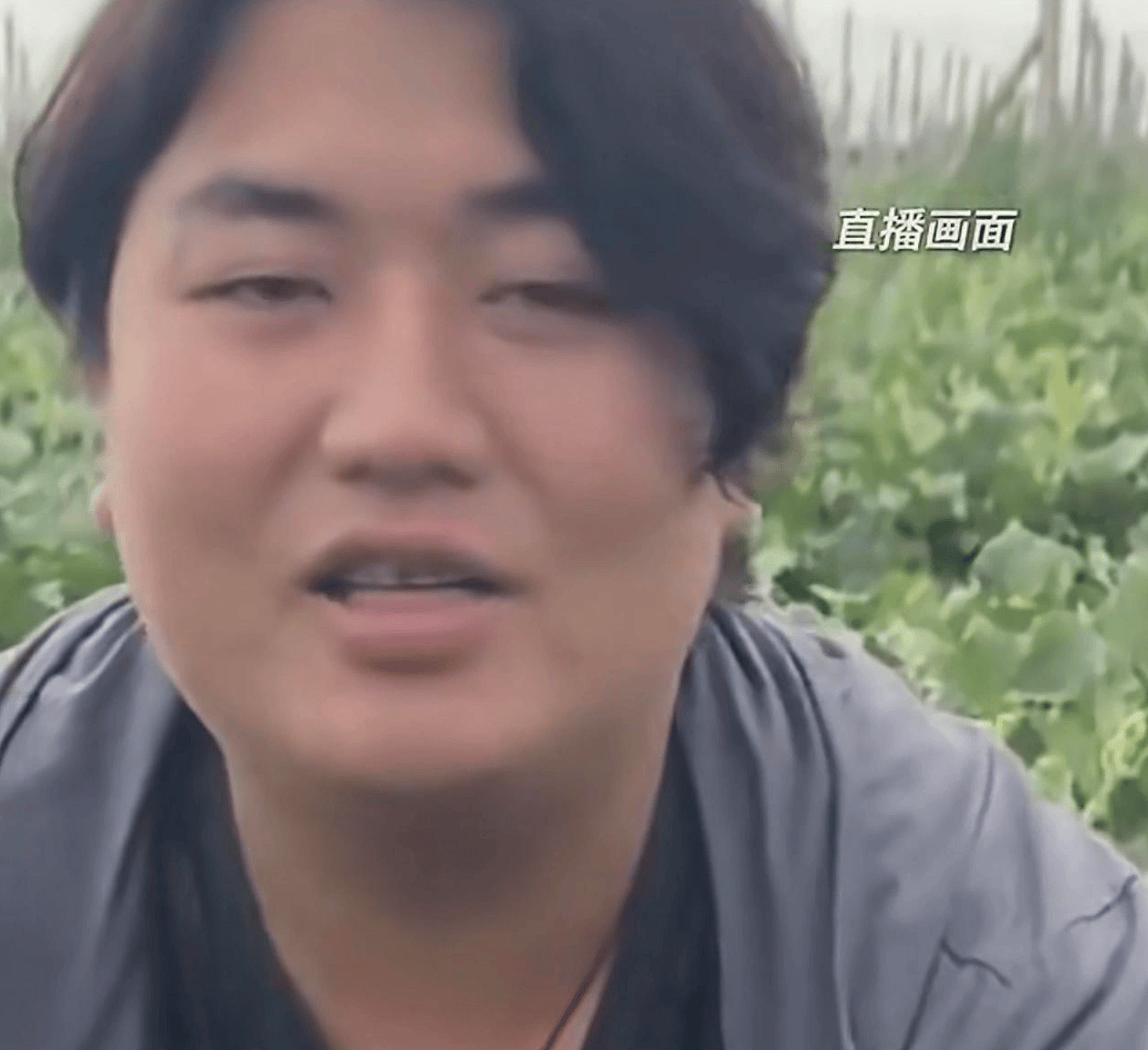 全红婵遭网暴被酸“全家都胖”,哥哥直播间霸气回怼:吃你家大米了吗 - 2