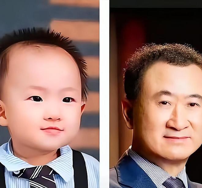 王思聪陷医美丑闻股份遭冻结，前女友黄一鸣被限高反向喊话王健林 - 14