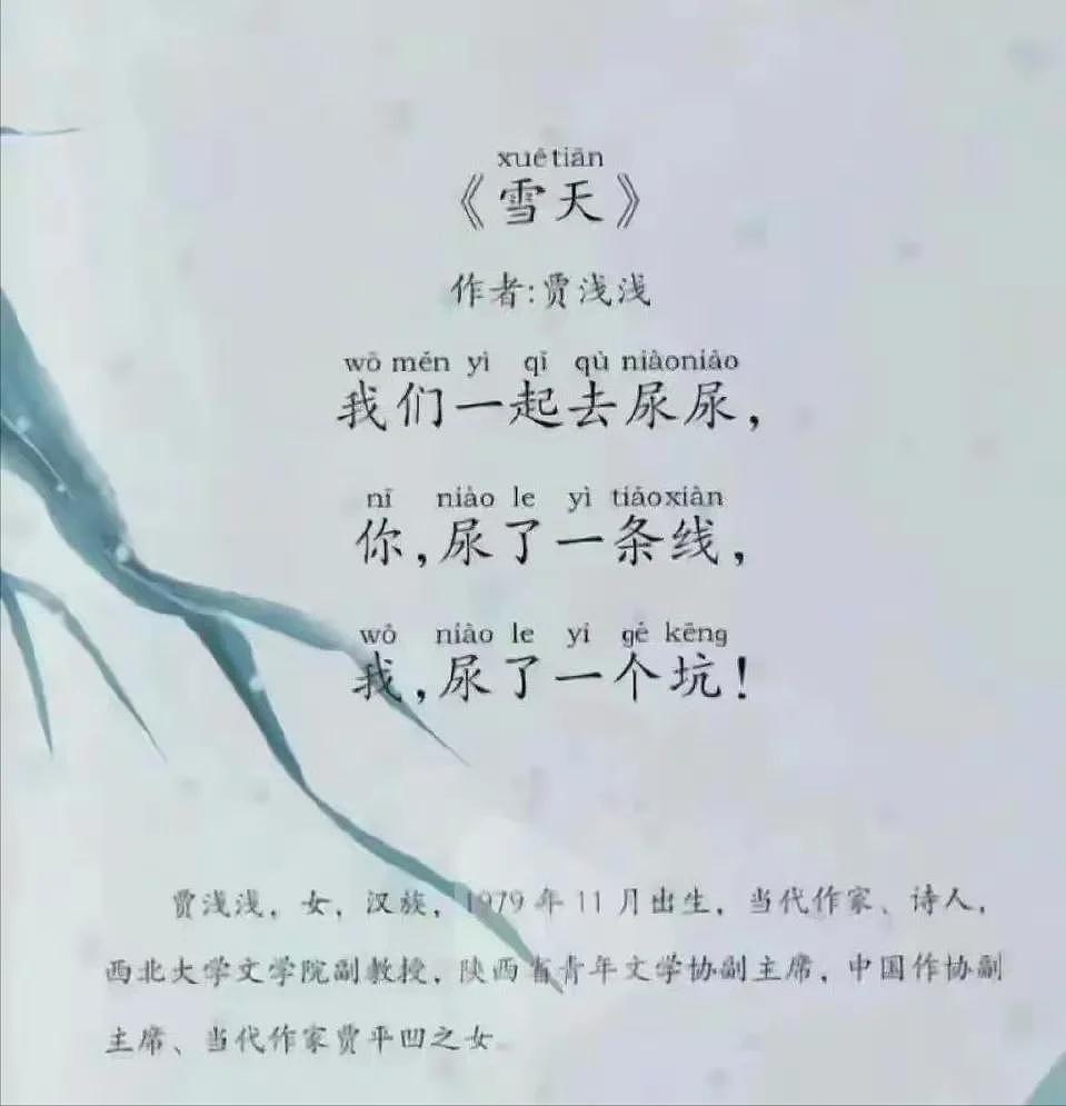这一次,“宠女无度”的贾平凹被扒了个底朝天,王朔的评价是对的 - 10