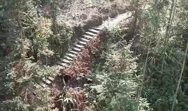 广西特大跨境偷渡案，历时31个月逮69人，外籍蛇头山林狂奔3小时 - 6