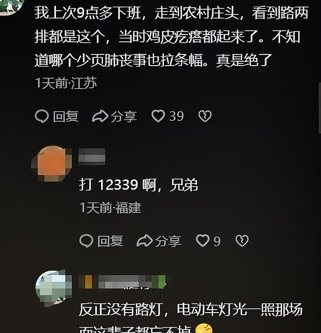 炫丧？湖南一公路插百米白灯笼，官方介入调查，结果和想的不一样（组图） - 9