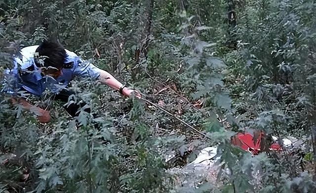 女大学生残杀原配,被枪决时毫无惧色反唱情歌,死前她究竟经历了什么? - 15