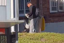 澳富人区惊现恶心一幕！女子街头公然排便，男伴持纸巾一旁守候 - 1