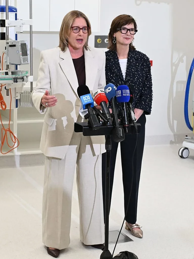 震荡来袭！维州工党三名资深部长辞职，州选前7个月引发内阁大改组（组图） - 3