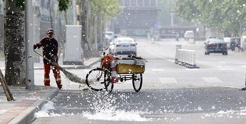 北京街头“4月雪”!200万棵杨柳飞絮喷发,过敏族的噩梦 - 1