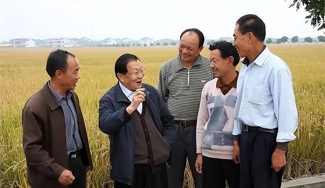 人均600万到欠400亿,毁掉"天下第一村"的不是别人,是他们自己 - 6