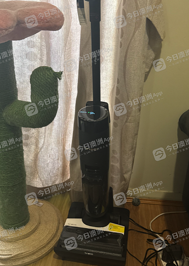 “引狼入室!”澳洲华女收留朋友免费住,家中贵重物品竟被悉数变卖,损失惨重!录下认错视频后人间蒸发(视频/组图) - 2