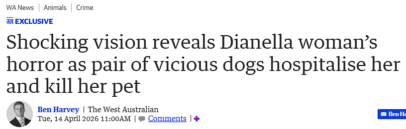 珀斯女子遭两只恶犬围攻，宠物当场被咬死，恐怖画面曝光（组图） - 1