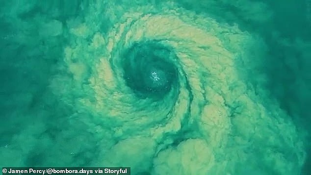 悉尼海滩惊现“龙卷风离岸流”，专家紧急示警，水下暗流更危险（视频/组图） - 2