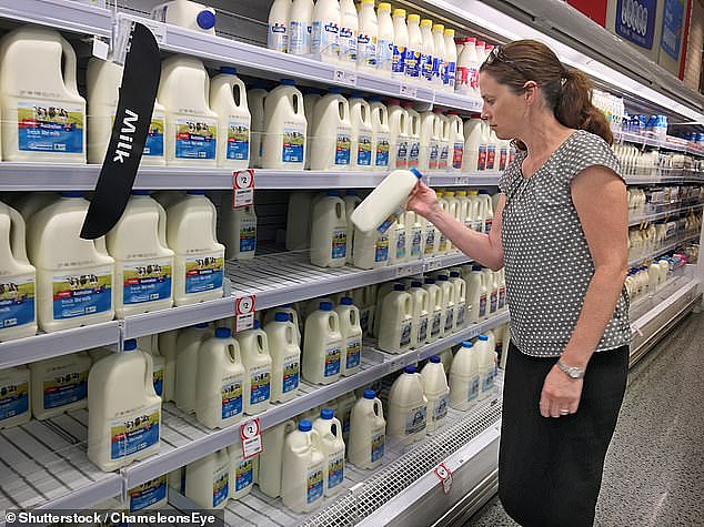 澳乳制品恐涨价20%，牛奶或突破$2大关！奶农苦撑：再不提价只能卖牛（组图） - 2
