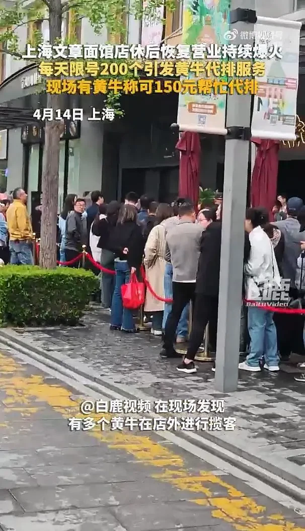 演员文章面馆爆火,每天放号200个,代排最高炒到500元(组图) - 2
