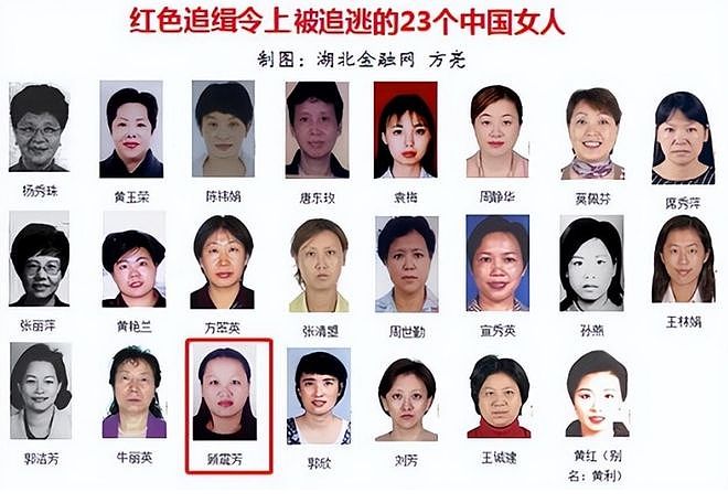 上海女会计携92万巨款潜逃,警方苦追15年,儿子:母亲已去世9年(组图) - 6