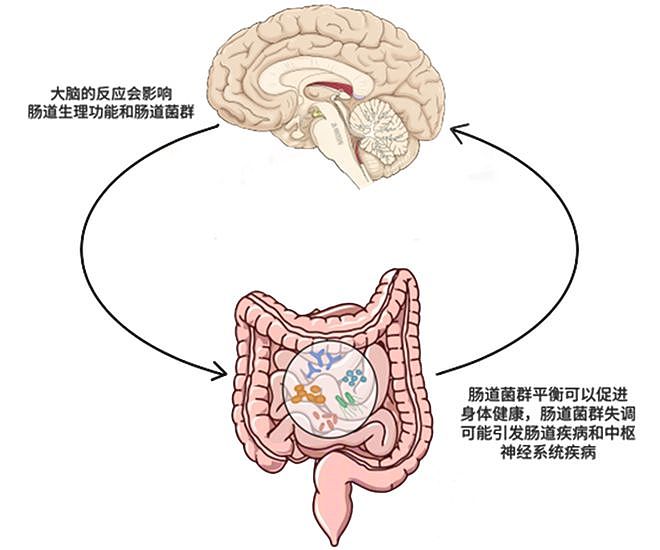 中国几毛钱止泻药竟是“天然司美”？廉价神药火到海外，老外疯抢（组图） - 3