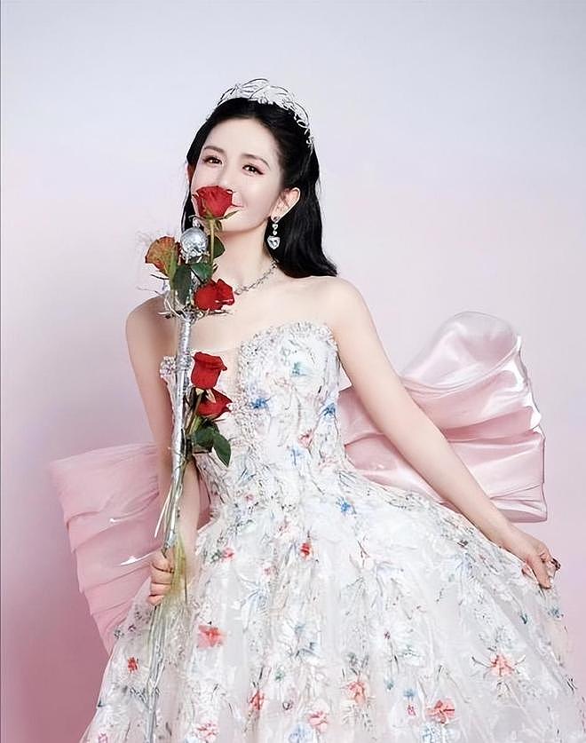 钱赚够了，名声没了，谢娜开演唱会迎来全网骂潮，刘烨当初没说谎（组图） - 21