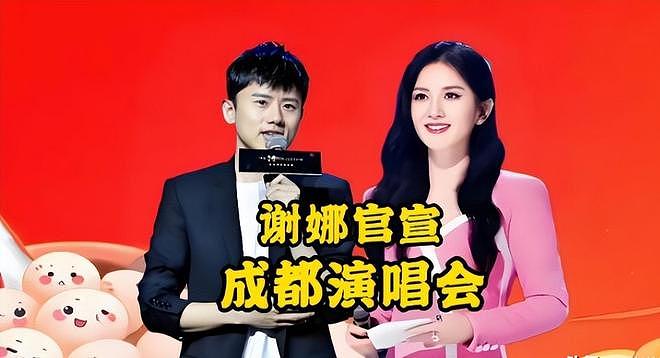 钱赚够了，名声没了，谢娜开演唱会迎来全网骂潮，刘烨当初没说谎（组图） - 26