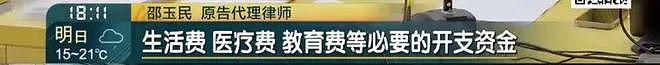 上海阿姨掏心掏肺带孙女，却称被儿子家暴？索要36万“带孙费”！儿子却喊冤？ - 2