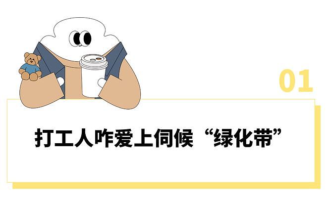 山姆上新无限繁殖的羽衣甘蓝盆栽被疯抢？打工人想800个方法驯服“史上最难吃蔬菜” - 2