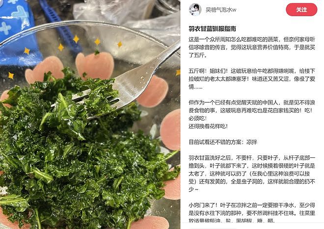 山姆上新无限繁殖的羽衣甘蓝盆栽被疯抢？打工人想800个方法驯服“史上最难吃蔬菜” - 6