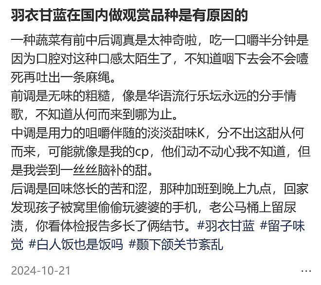 山姆上新无限繁殖的羽衣甘蓝盆栽被疯抢？打工人想800个方法驯服“史上最难吃蔬菜” - 7