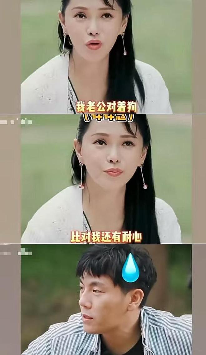 恶心一幕发生!58岁伊能静把综艺当“验爱台”,48岁秦昊直接说烦(组图) - 23