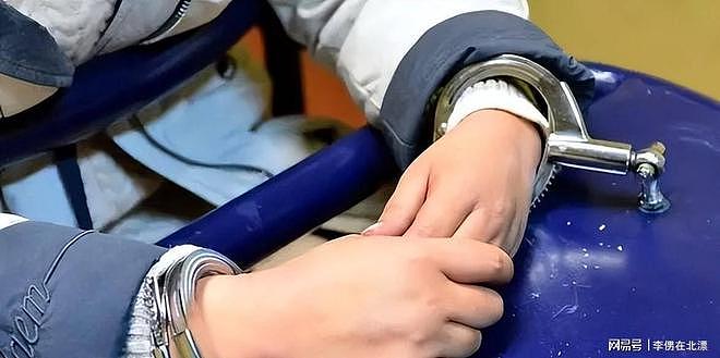 双面间谍高瞻被抓入狱，卖完中国、又卖美国！深造半生却只认得钱 - 6