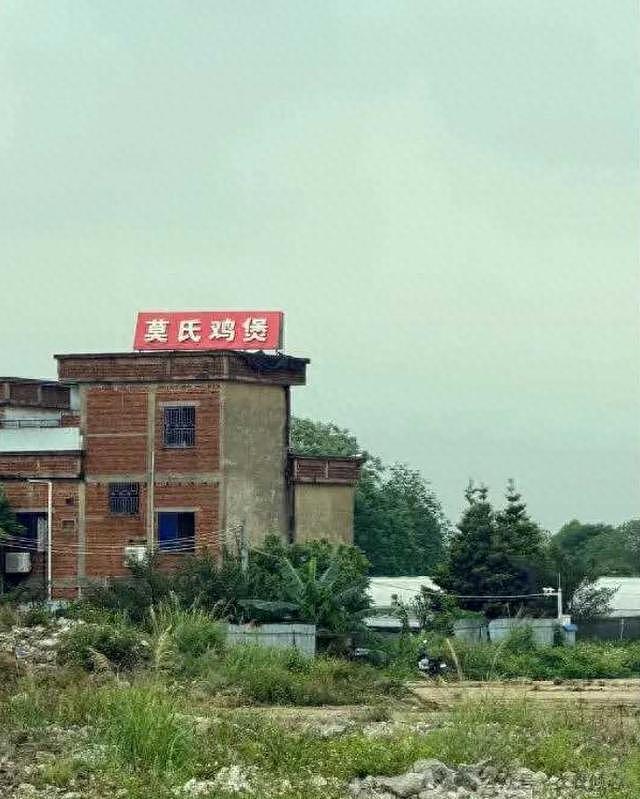 莫氏鸡煲帮工工资曝光，引全网羡慕，老莫透露后续打算，太通透 - 13