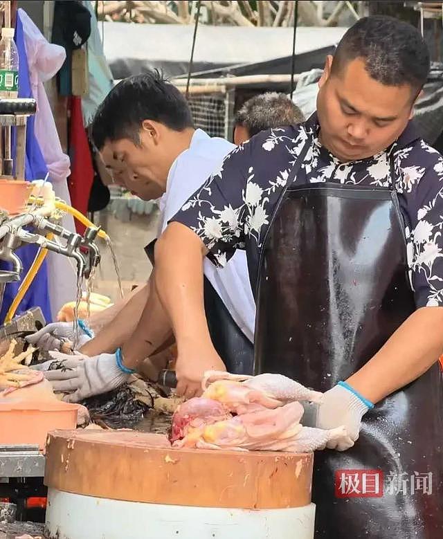 莫氏鸡煲帮工工资曝光，引全网羡慕，老莫透露后续打算，太通透 - 15