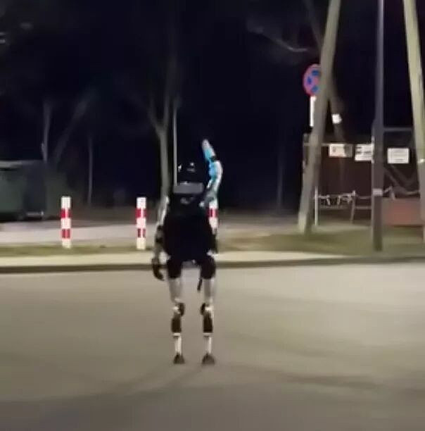 波兰街头奇景:中国产机器人追一群猪跑!画面疯传(组图) - 5