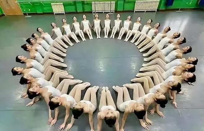 许家印多出的两个私生子！跟谁生的？再扒恒大歌舞团 - 5