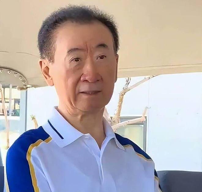 许家印认罪未满24小时,王健林传来了“噩耗”,马化腾当年没说错(组图) - 10