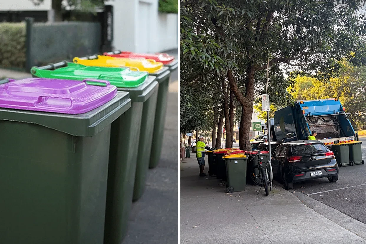 反对声浪日益高涨！维州强推第四个家用垃圾桶计划遭怒批：“完全没必要！”（组图） - 1