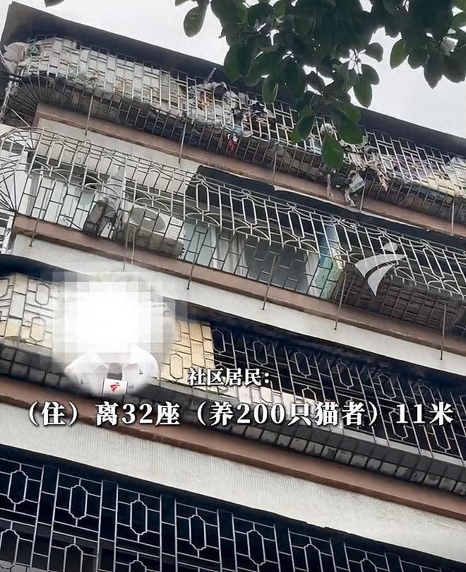 因反对加装电梯，广东一住户竟养200只猫报复邻居：楼道堆满粪便垃圾（组图） - 1