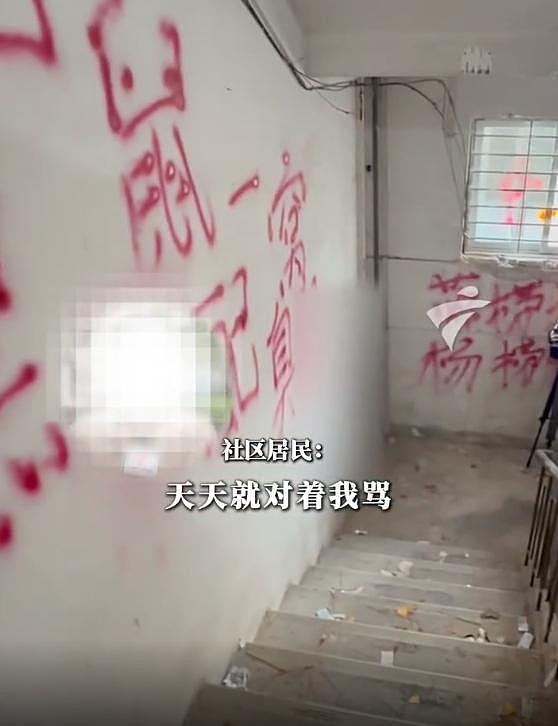 因反对加装电梯，广东一住户竟养200只猫报复邻居：楼道堆满粪便垃圾（组图） - 2