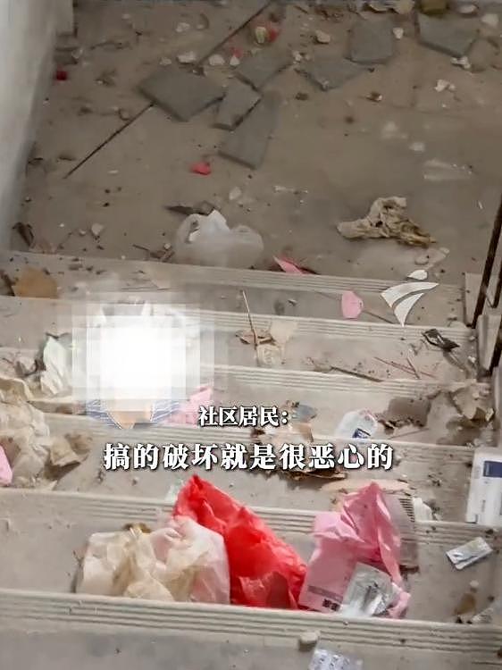 因反对加装电梯，广东一住户竟养200只猫报复邻居：楼道堆满粪便垃圾（组图） - 3