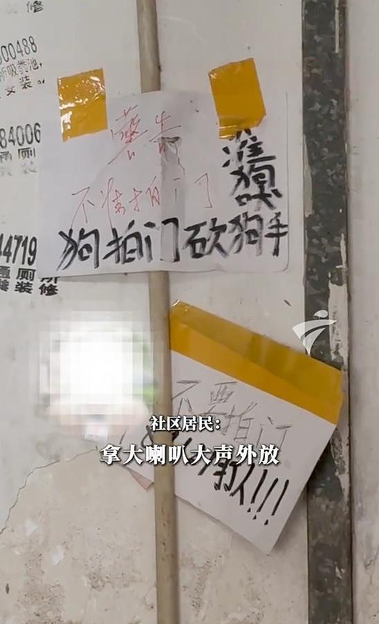 因反对加装电梯，广东一住户竟养200只猫报复邻居：楼道堆满粪便垃圾（组图） - 4