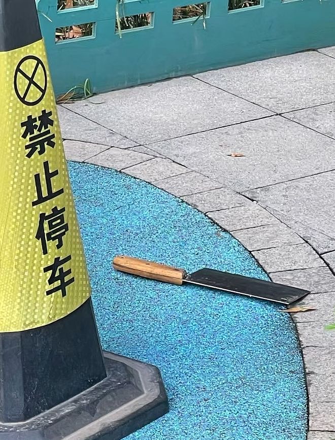 菜刀从天而降坠落儿童游乐区，小区业主：监控拍到来自8楼以上，一起掉落的还有瓶瓶罐罐 - 1