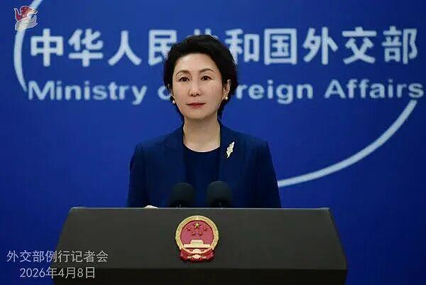 中国博士后遭美方执法人员约谈盘问后自杀，去世当天最新论文在顶刊发表（组图） - 13
