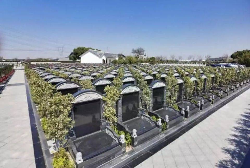 中国殡葬业巨头首陷亏损！民众对天价墓地“祛魅”：塑料袋装骨灰，讲不了价就海葬（组图） - 5