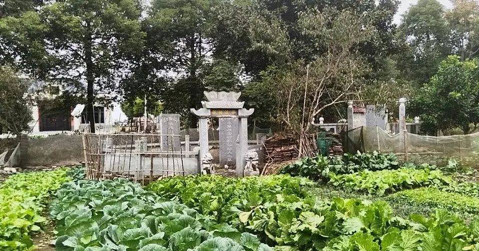 中国殡葬业巨头首陷亏损！民众对天价墓地“祛魅”：塑料袋装骨灰，讲不了价就海葬（组图） - 12
