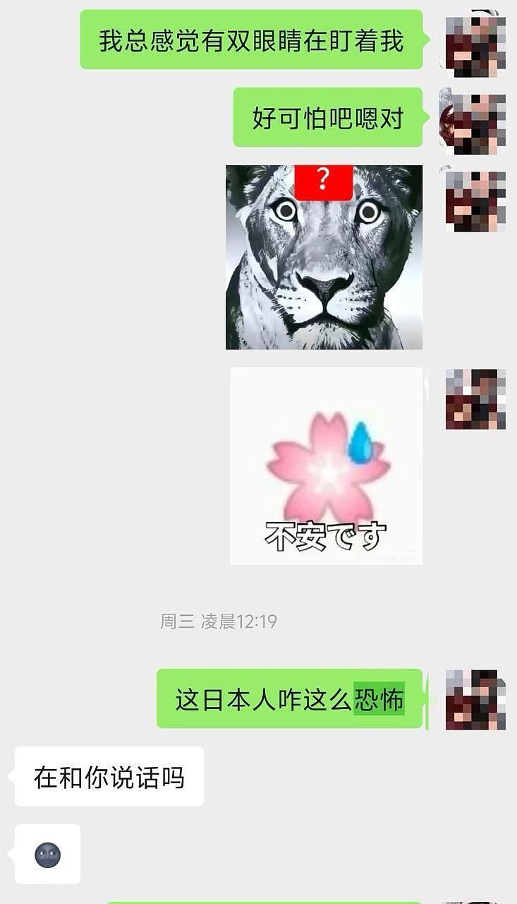 中国女游客在釜山青旅遭日男骚扰：对着床铺小便，下跪辩称认错厕所（组图） - 3