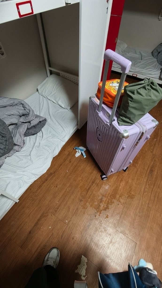 中国女游客在釜山青旅遭日男骚扰：对着床铺小便，下跪辩称认错厕所（组图） - 6