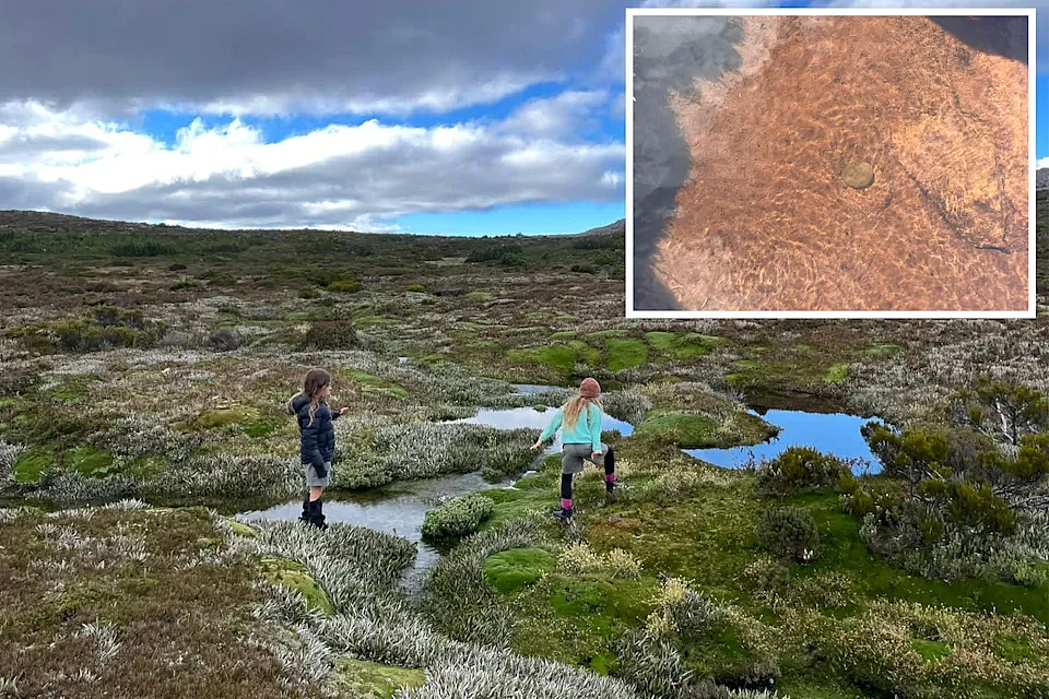 澳洲水潭惊现神秘“果冻生物”？游客触碰后碎裂，专家揭真实身份（组图） - 2